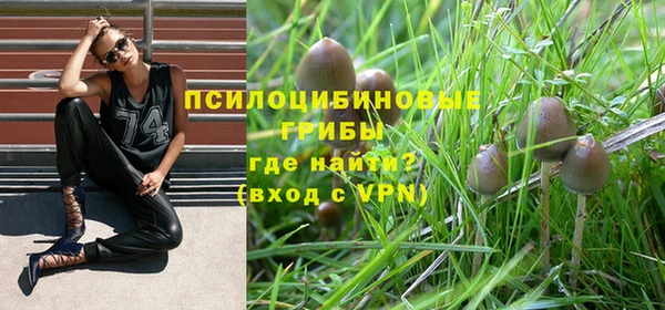 герыч Богородицк
