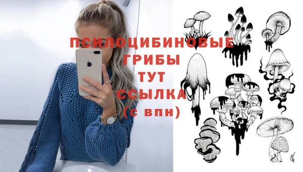 герыч Богородицк
