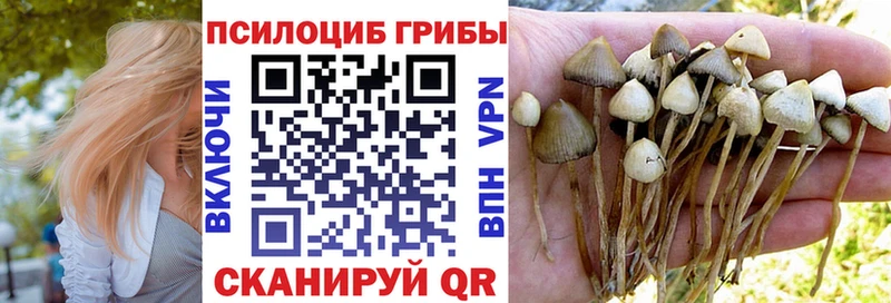 Галлюциногенные грибы мицелий  Очёр 